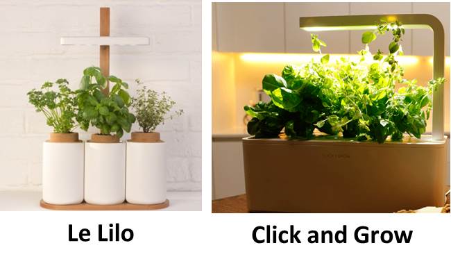 lilo+click and grow