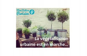 végétalisation urbaine